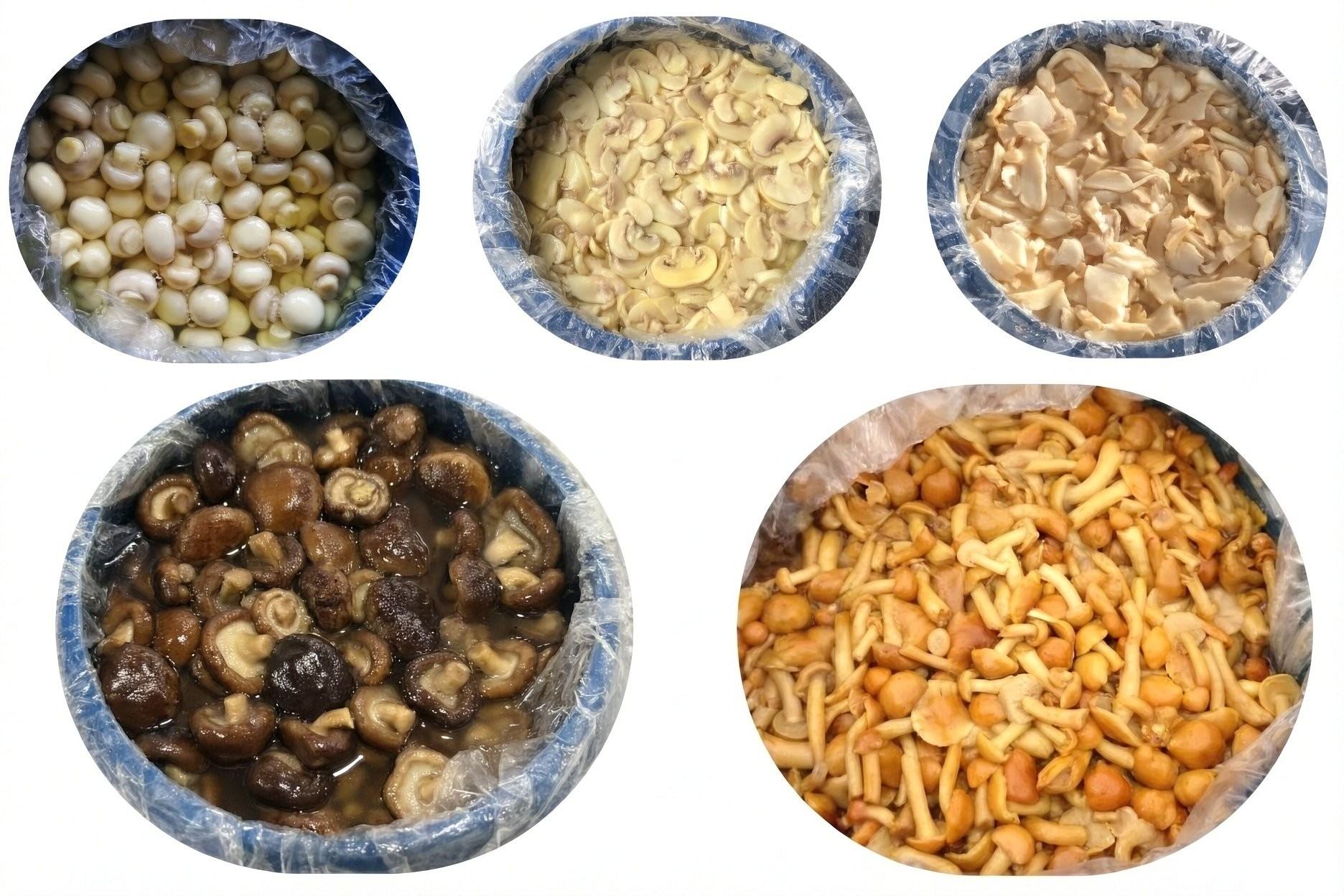 Bulk packed mushrooms in blue-lined pails - preserved straw mushrooms, sliced button mushrooms, sliced champignons, whole shiitake and nameko mushrooms