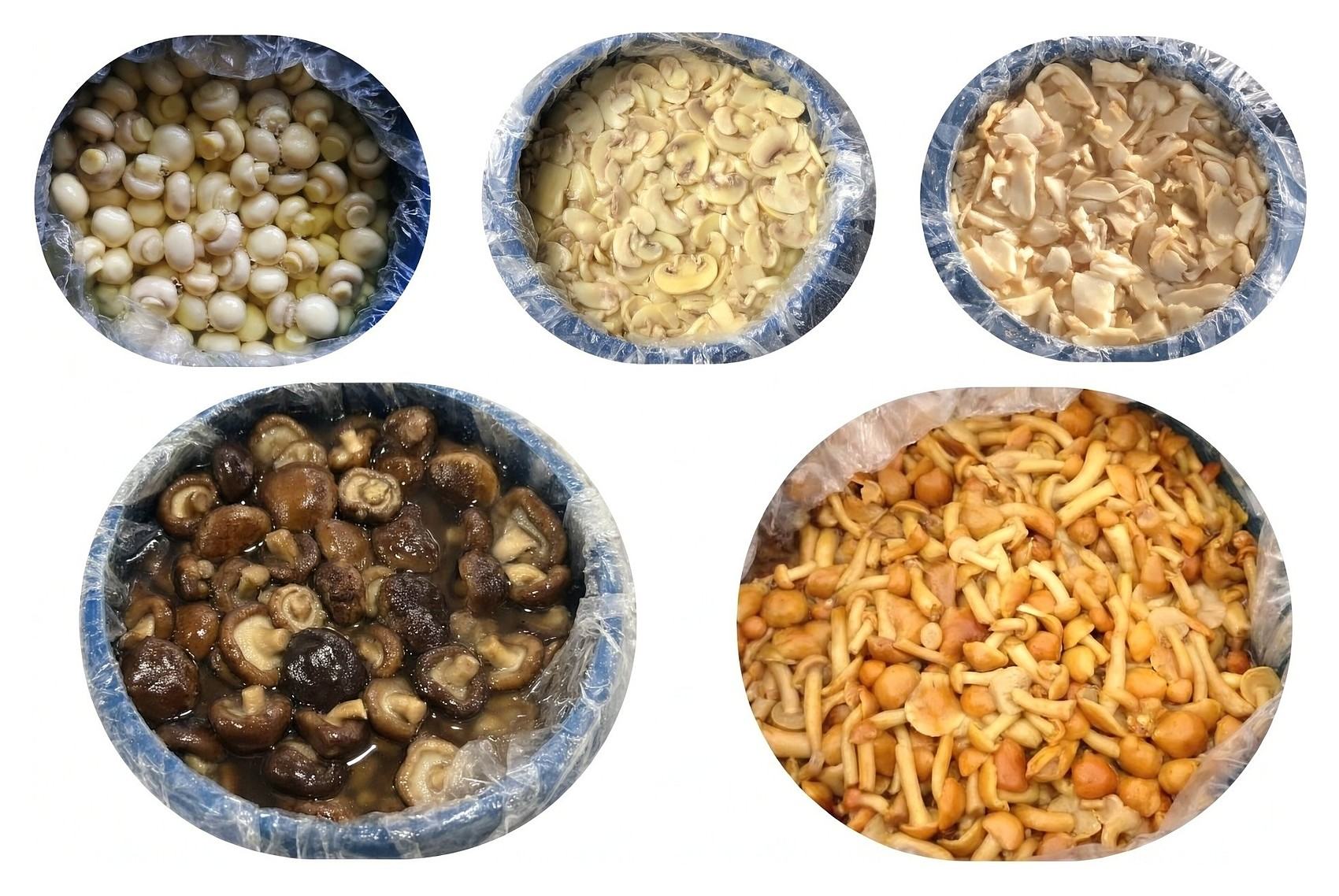 Bulk mushrooms in brine: peeled button mushrooms, sliced button mushrooms, shiitake and nameko packed in lined drums